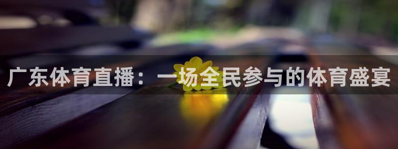 广东体育直播：一场全民参与的体育盛宴