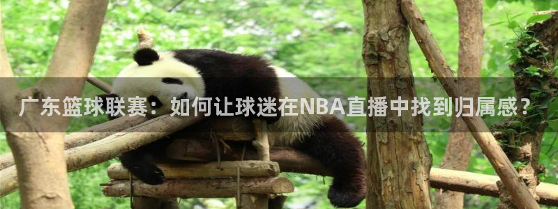 广东篮球联赛：如何让球迷在NBA直播中找到归属感？