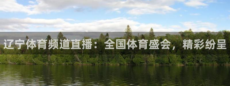 辽宁体育频道直播：全国体育盛会，精彩纷呈